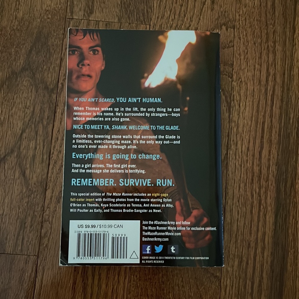 Maze Runner - Picture 3 of 4